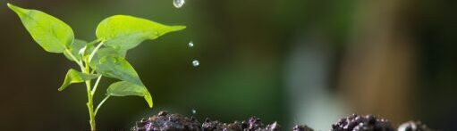 Ecozon